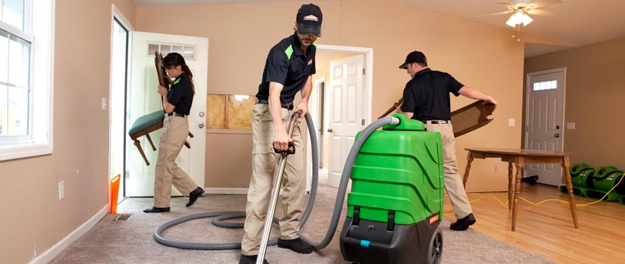 Rosemead , CA cleaning services